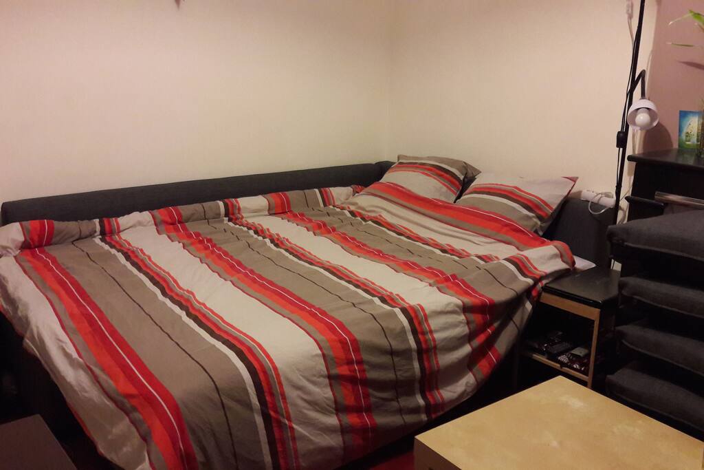 Séjour - Canapé en lit 2 places / Double bed