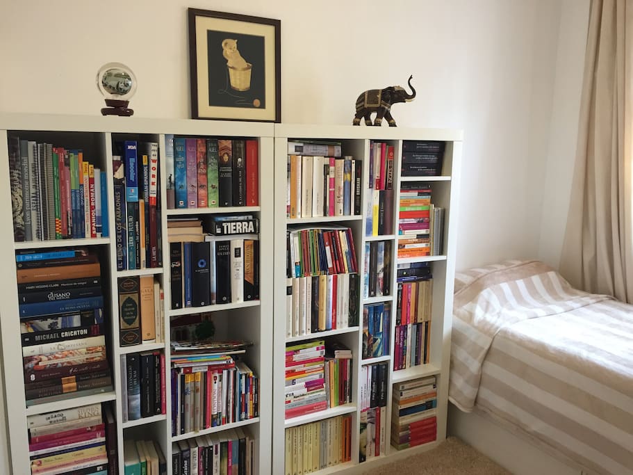 Bed & books, perfect combination.