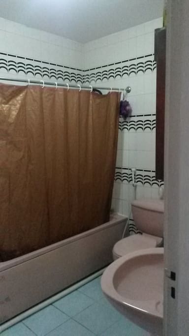 Toilet with shower (hot water)