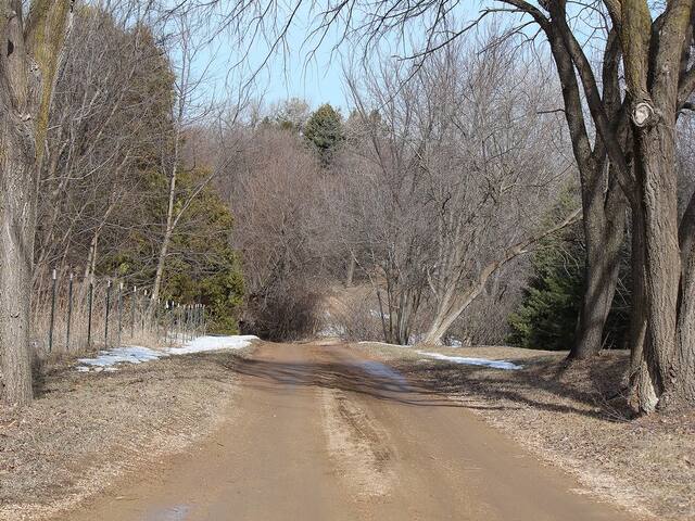 Private Wooded 5 Bedroom Home on 7 Acres gallery image 3