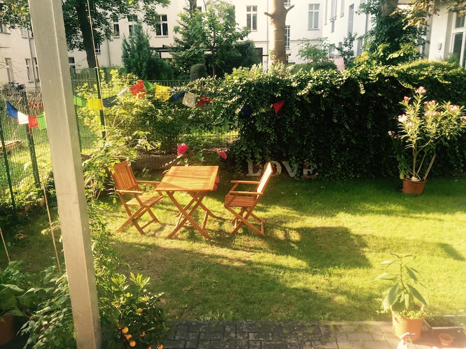 our own garden, with more than 30 vegetables, flowers, spices...