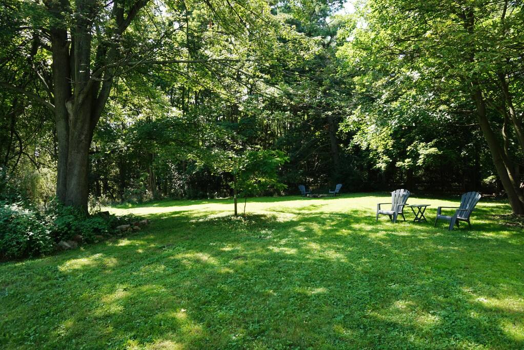shady backyard
