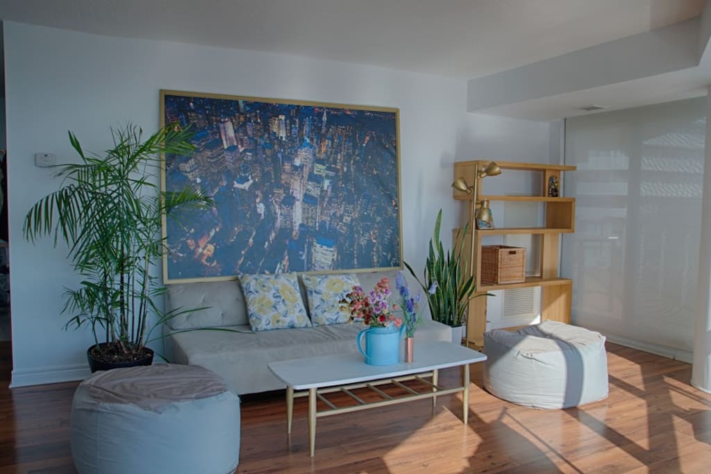 Shared Living Room