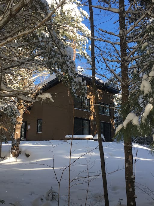 En hiver, il ya bcp de neige à Ste-Lucie :)