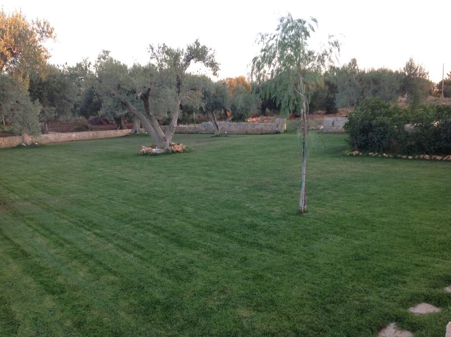 Giardino esterno