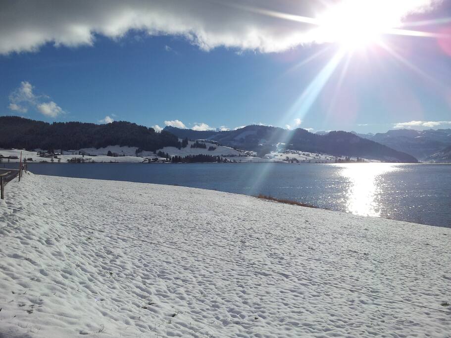 Sihlsee in winter