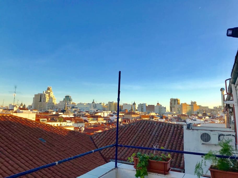 Terraza