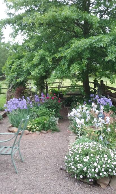 Garden with spring flowers and swing.