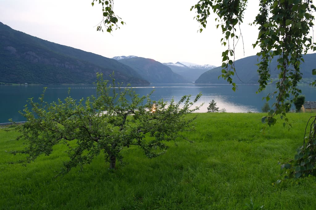 View from the living room window at Teigen.