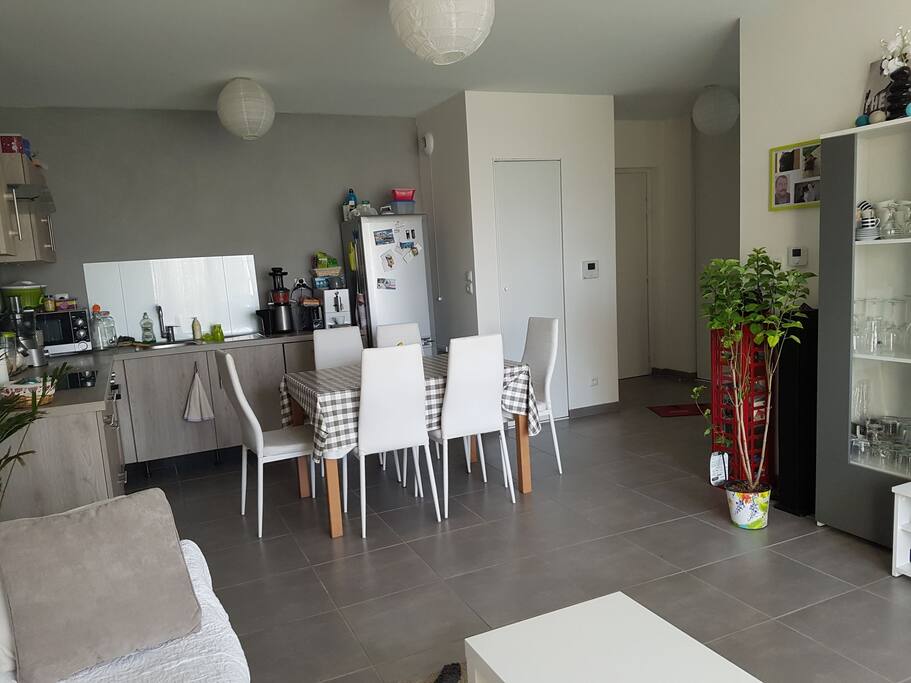 cuisine ouverte sur salon