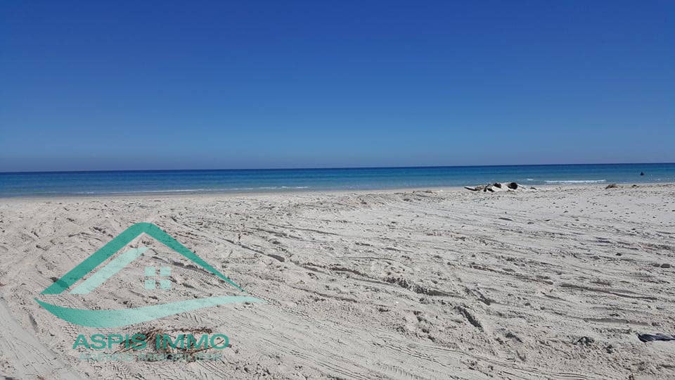 The image showcases a wide stretch of sandy beach meeting the calm, clear blue waters of the sea under a cloudless sky. The gentle waves create a serene coastal scene, inviting relaxation and exploration.