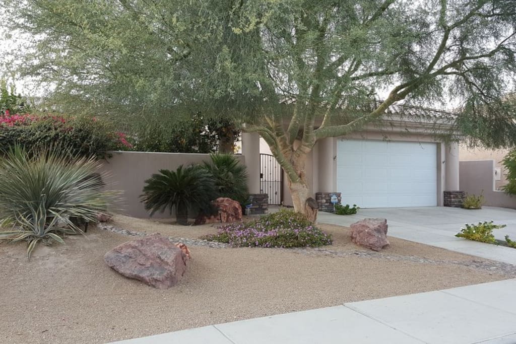 Front Yard