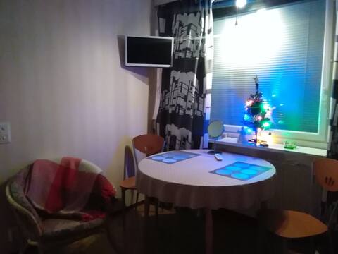 Studio for two people, near the city.