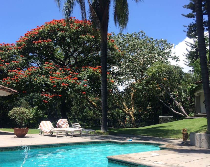 Villa Sapotes, your perfect getaway