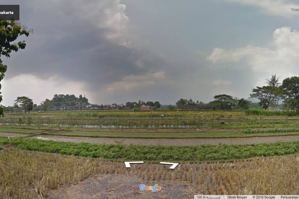 View Sawah Piyungan