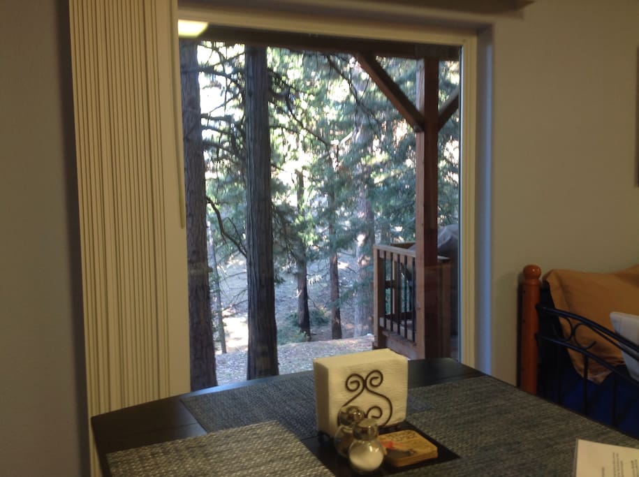 Big picture window with view of the forest.