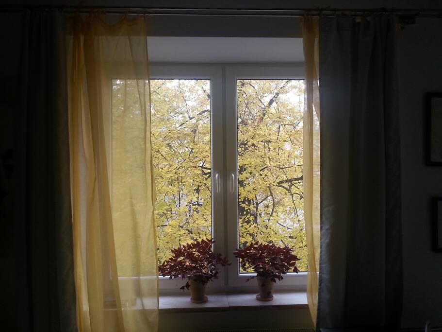 ...a window to have look outside...