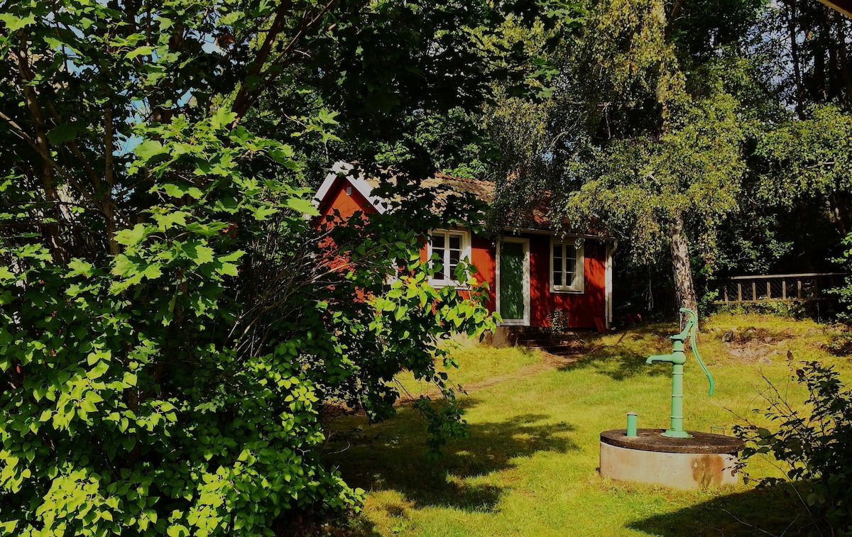 A traditional Swedish red farmhouse is nestled among lush greenery, framed by vibrant green leaves. The structure features multiple windows, inviting natural light into the living space. A vintage water pump is located in the foreground, contrasting with the serene natural setting.