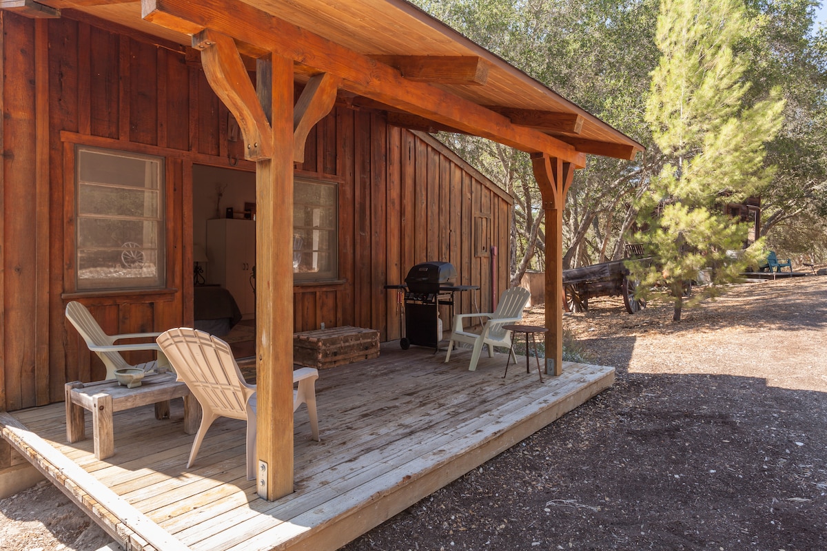 A rustic cabin porch is featured, constructed with wooden beams and a slatted floor. Two light-colored Adirondack chairs sit beside a wooden table. A gas BBQ is positioned nearby, surrounded by natural landscaping and trees that provide a sense of seclusion.