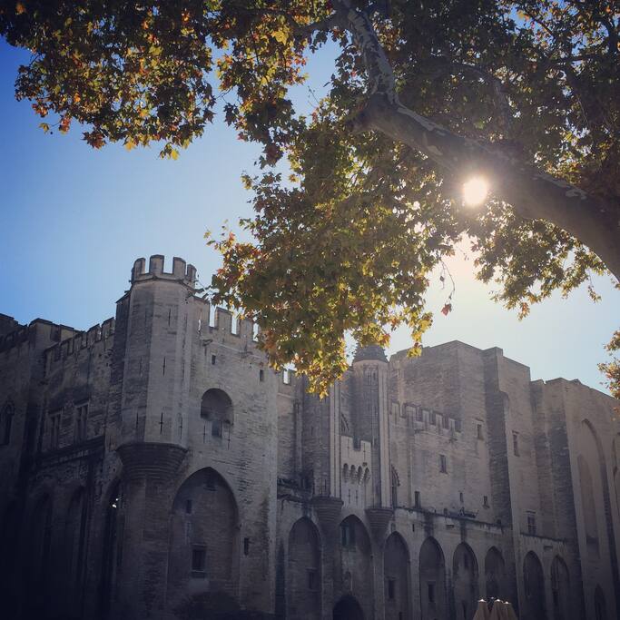 à 10 minutes a pied : le palais des papes