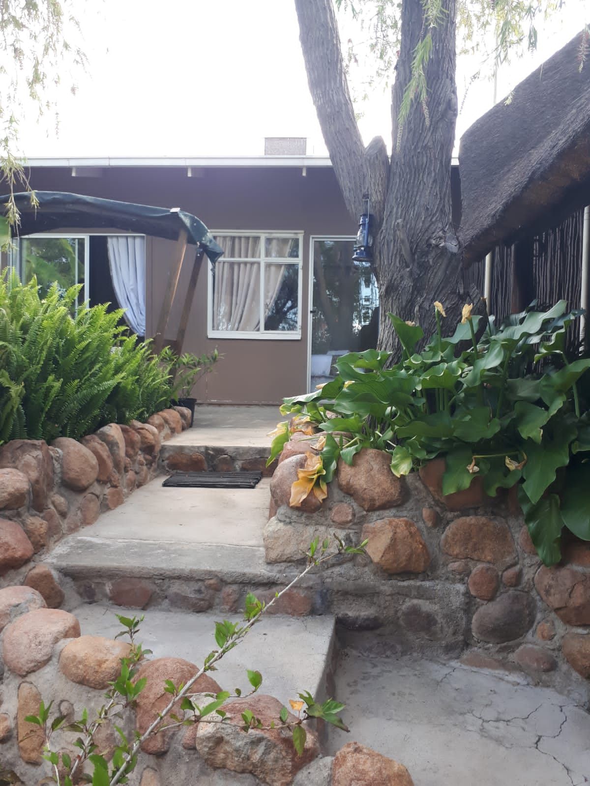 A stone pathway is framed by lush greenery, leading to a beige building with large windows. A covered seating area is visible to the right, providing shade beneath a tree. Natural textures are highlighted by the combination of stone and plant life.