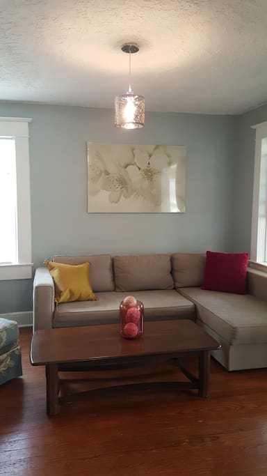 Living room with pull out couch