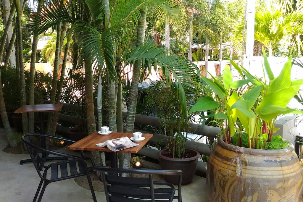 The front terrace: cool and green.
