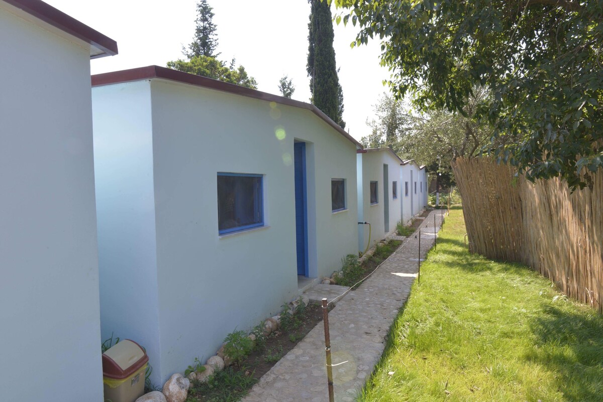 A row of small, light blue buildings is set along a stone pathway. Each building features a blue door and one window. Lush greenery surrounds the area, with a fence made of wooden sticks in the background.