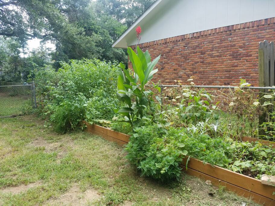garden