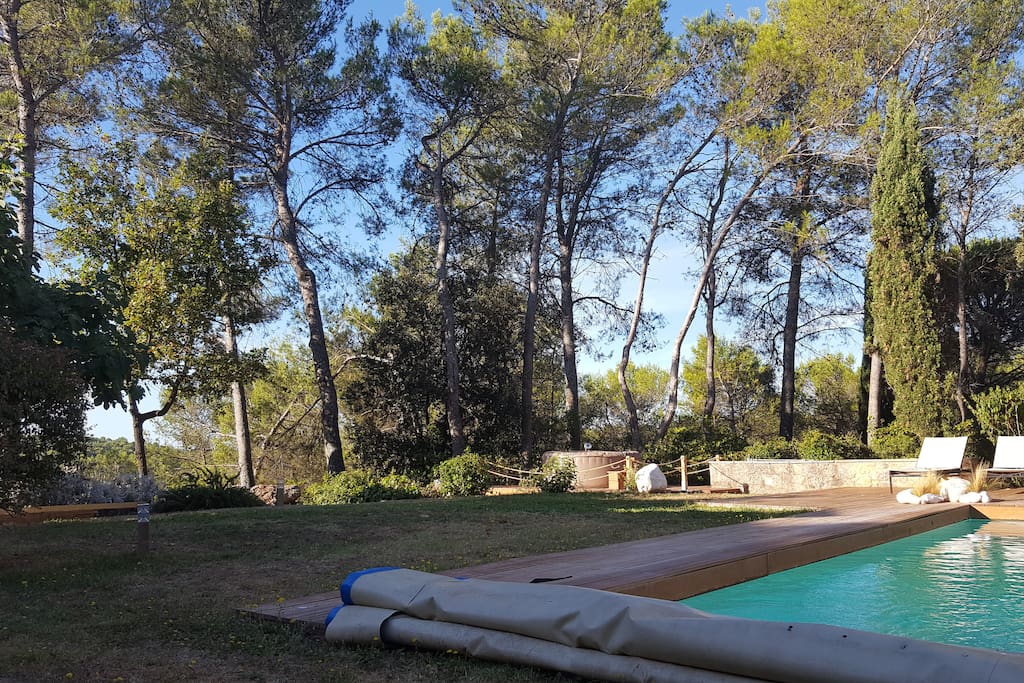 Situation dominante