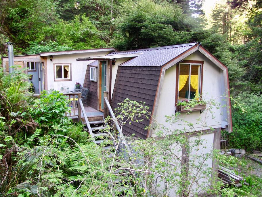Climb stairs up to the entry deck surrounded by redwoods.