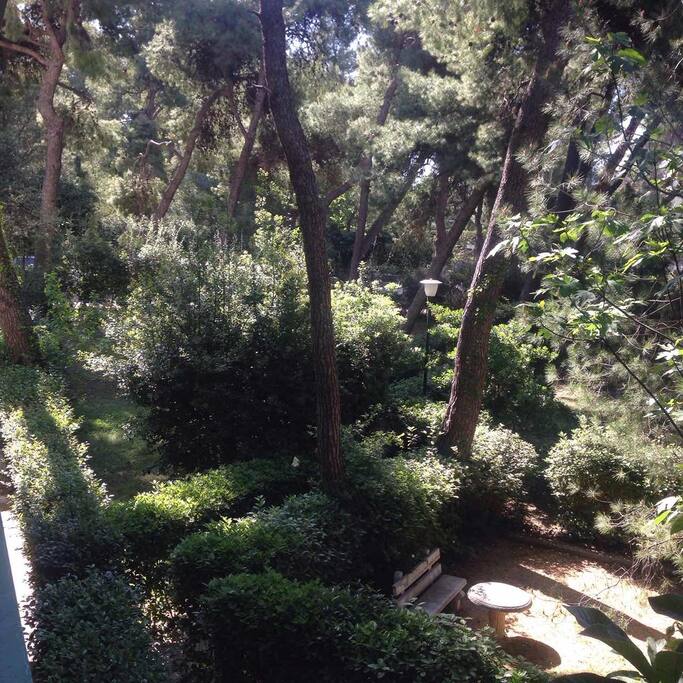 the view from the living room balcony