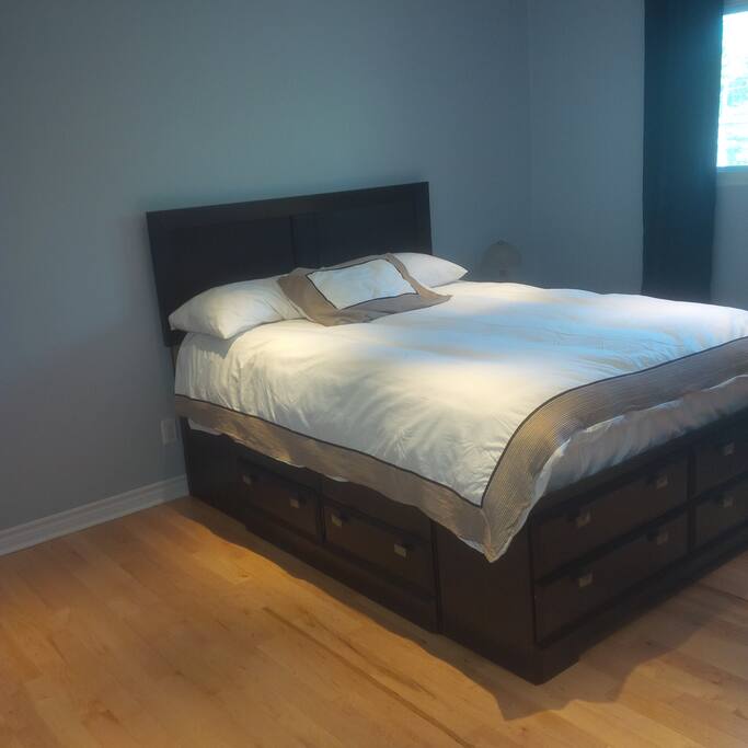 Master Bedroom, Level 1 (1)