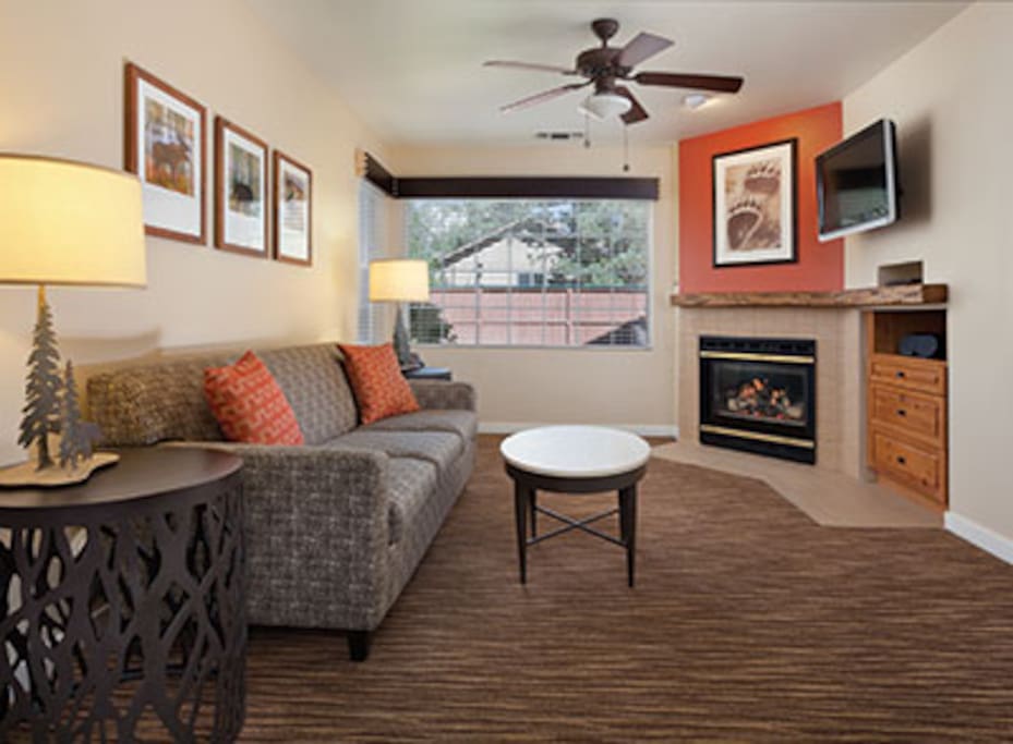 Front Room With TV, DVD Player, Stereo, Gas Fireplace and Queen Murphy Bed Folds Out Of Wall