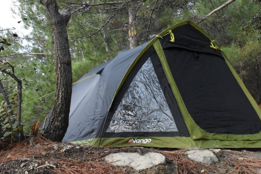 Forest campsite