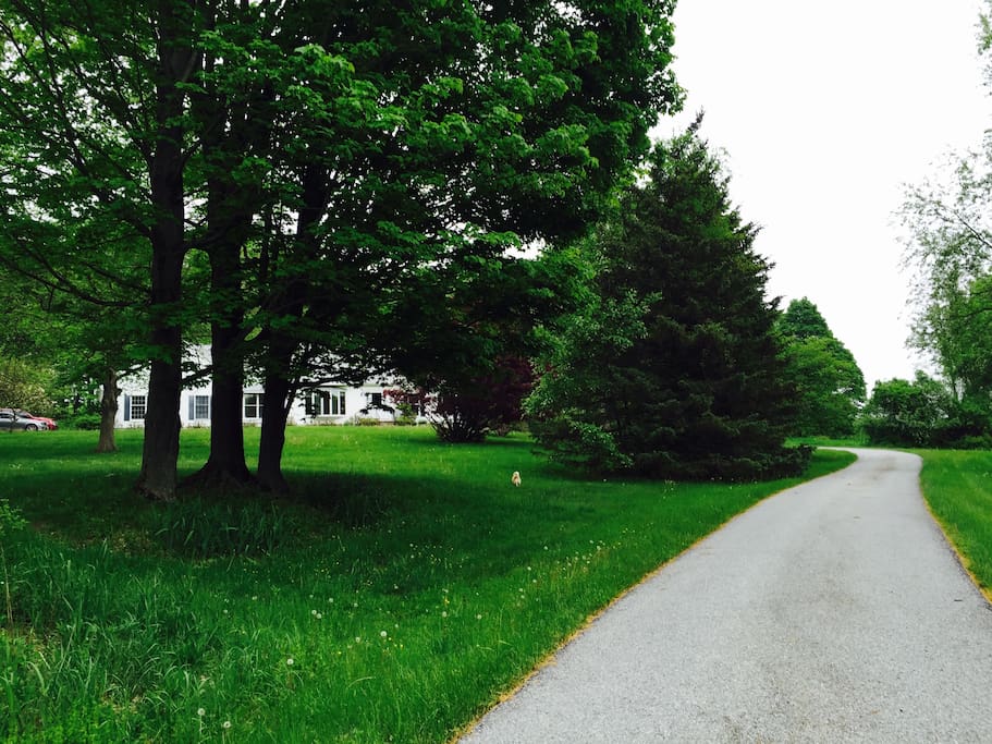 private driveway toward the house