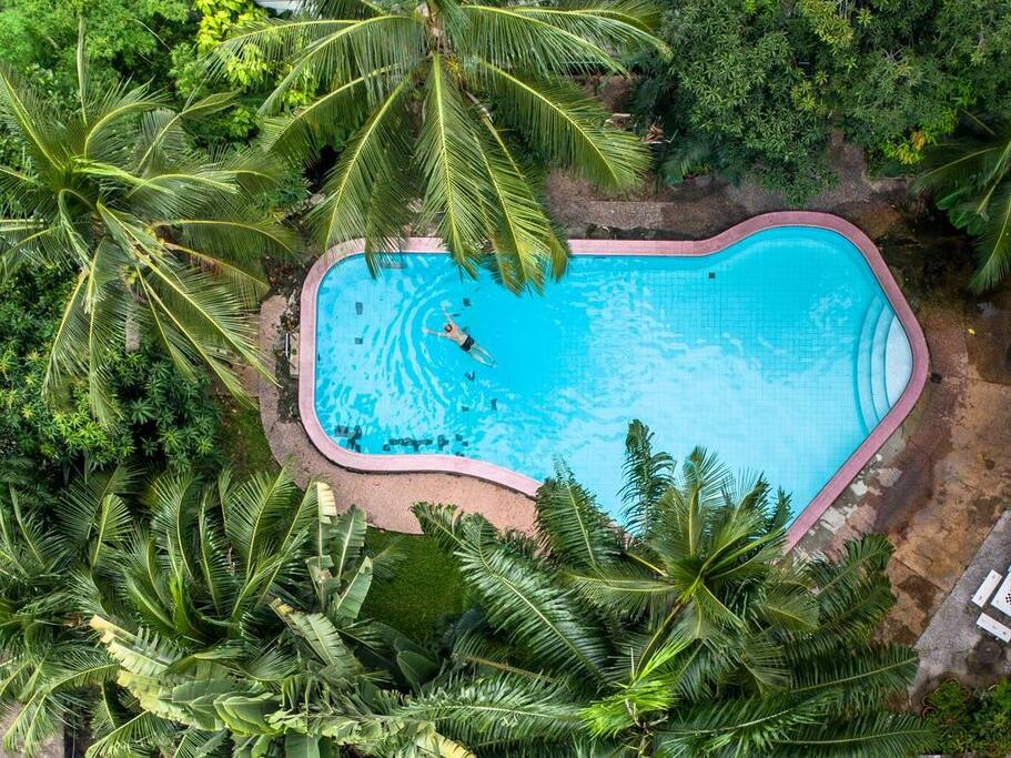 The papaya shaped pool.
