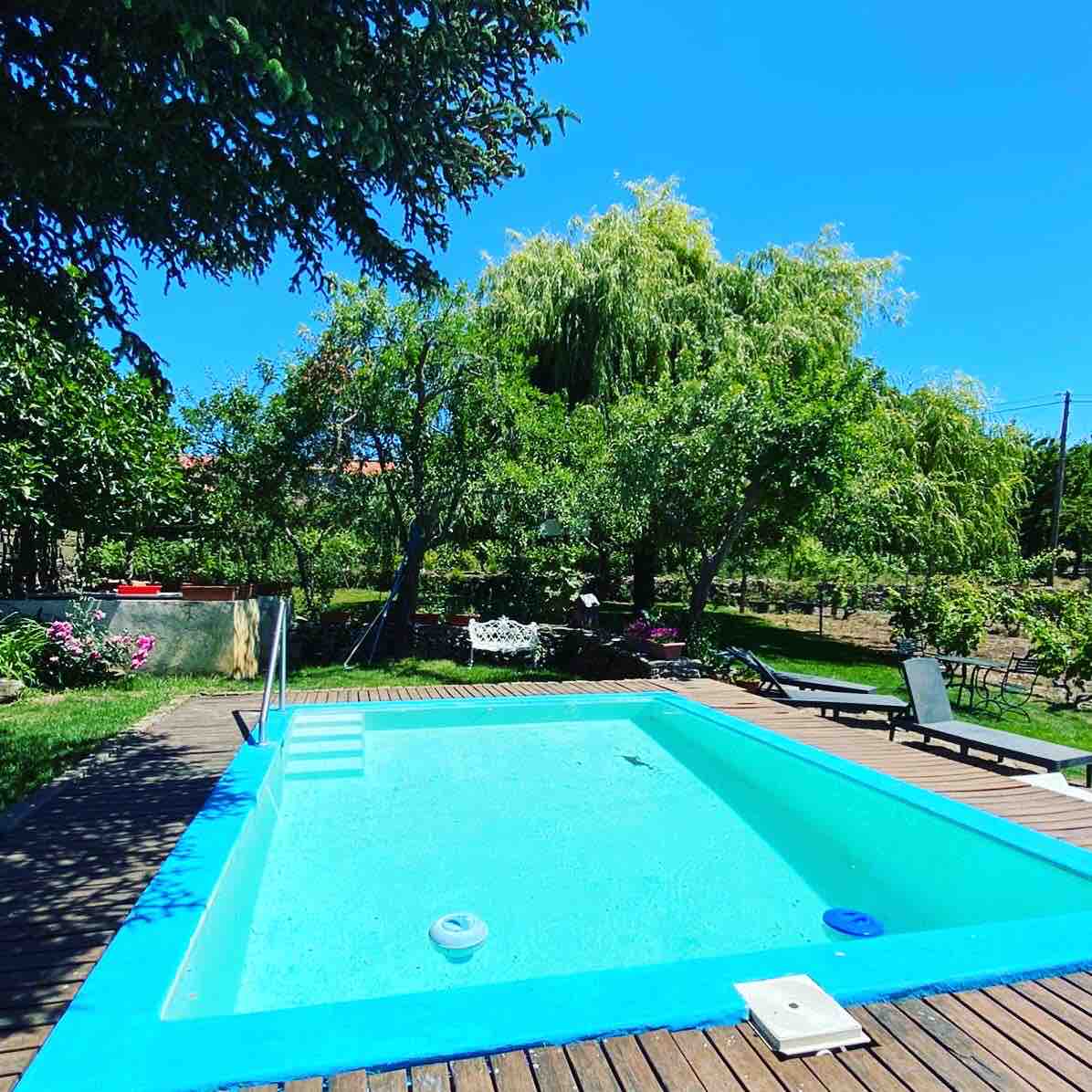 A refreshing pool is framed by wooden decking and surrounded by lush greenery. The clear blue water reflects the sunny sky, while various trees provide shade. A seating area with chairs is visible, creating a serene outdoor space for relaxation.