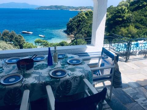 Beautiful Villa with private beach