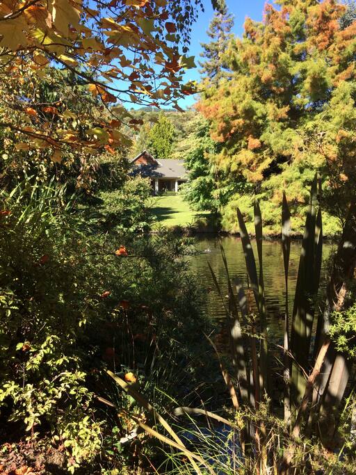 Secret view of the Ashwoods