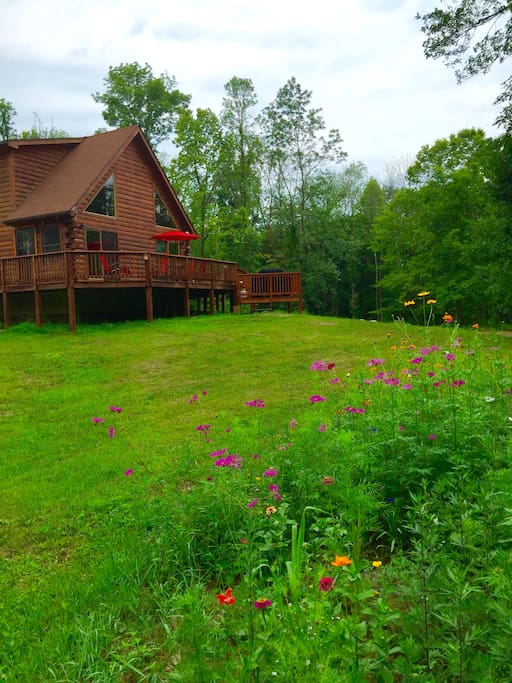 Back porch