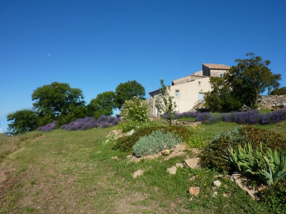 LE CALME AU CHATEAU
