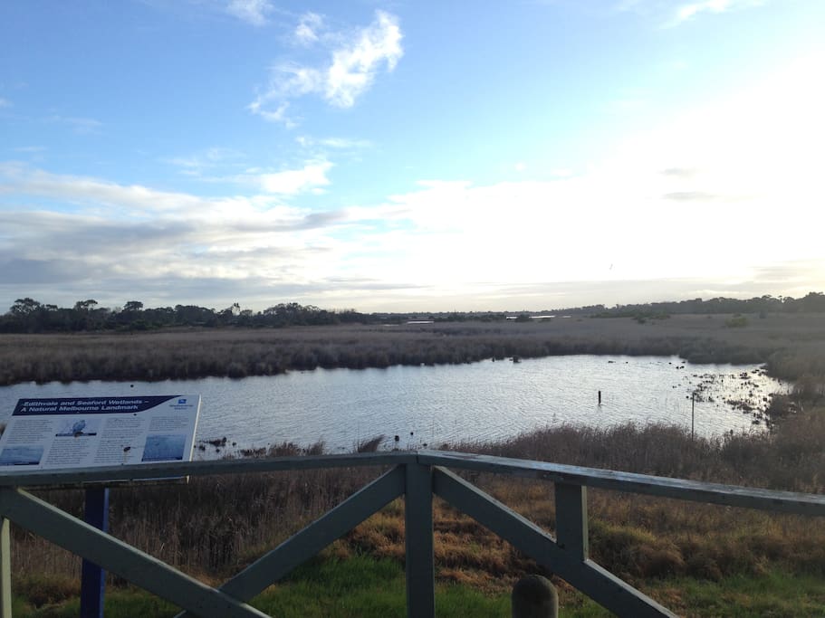 Wetlands - huge walk/bike path on our doorstep!
