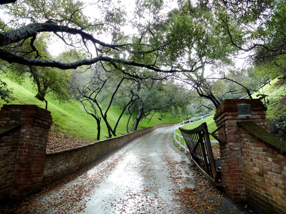 Private drive 510 feet.