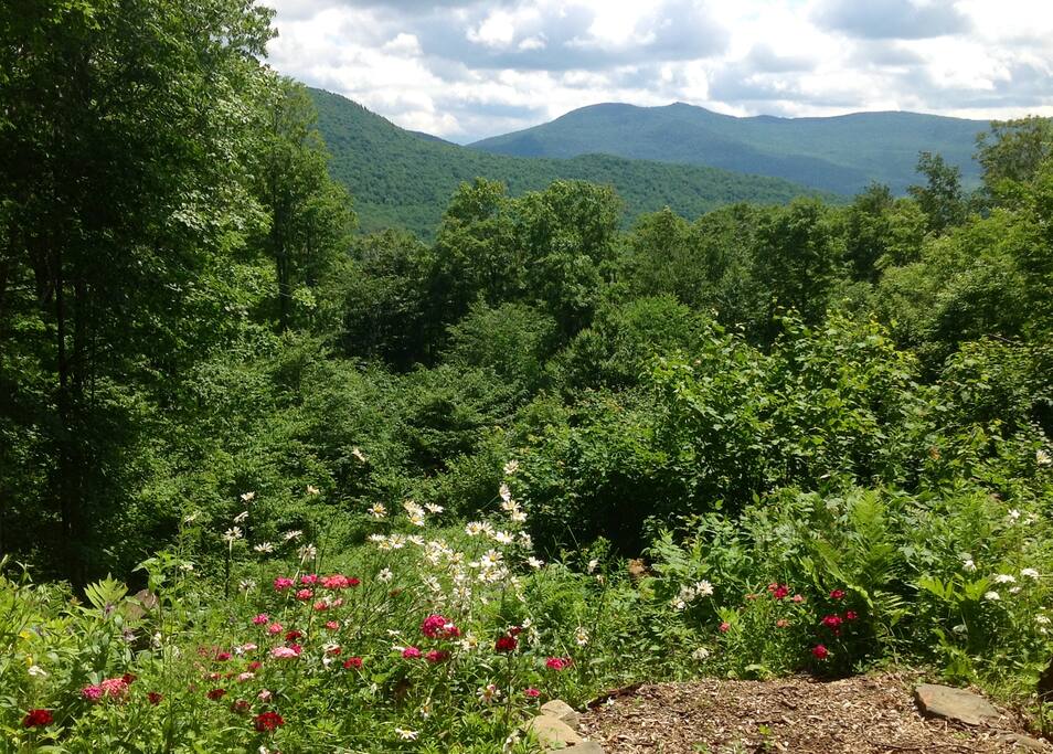 View of Green Mts from chalet deck and living room