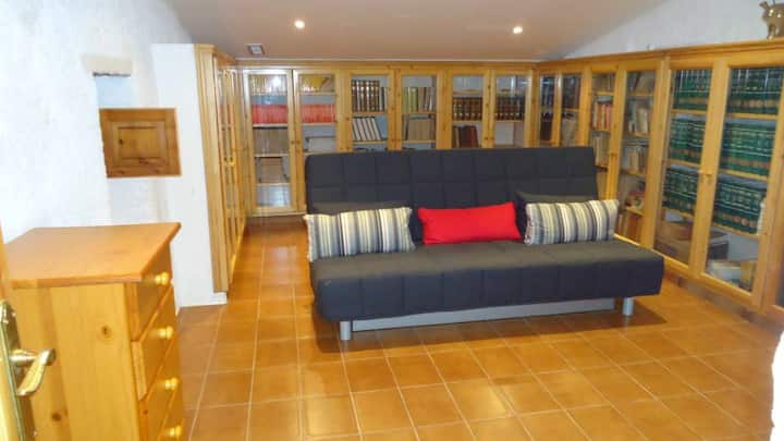 Bibliothek mit Schlafsofa (1. Stock) mit Tür