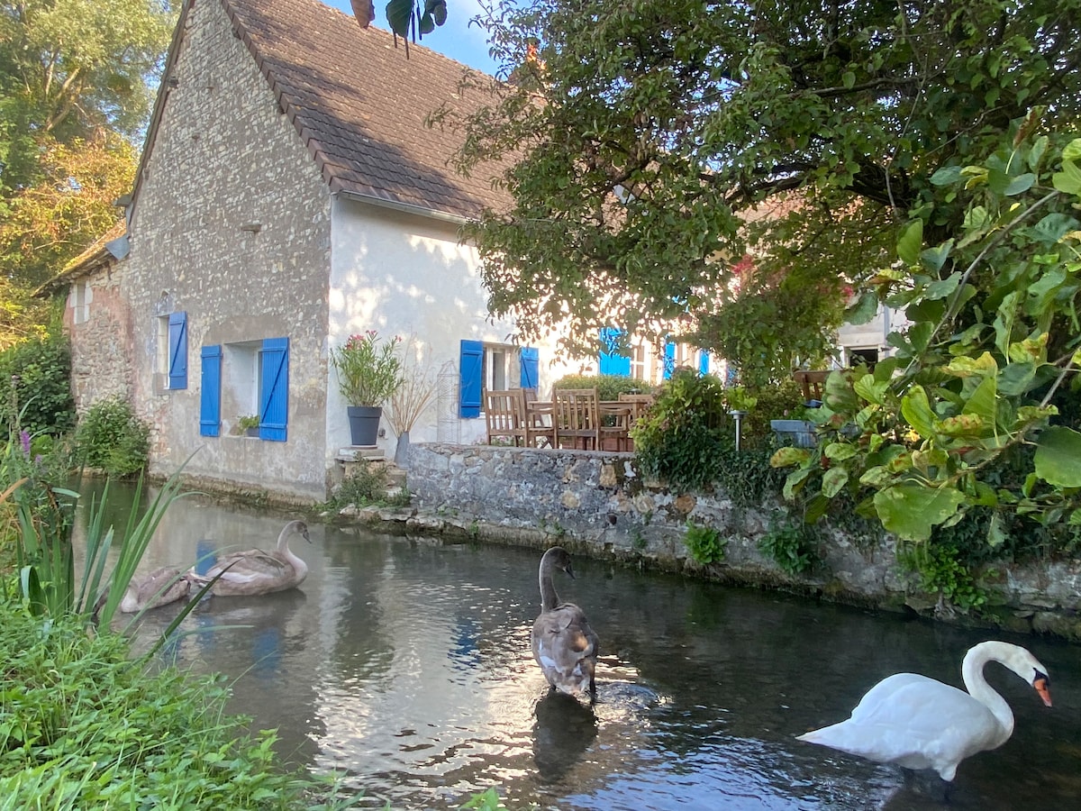 A charming stone house is situated along a gentle stream, featuring blue shutters and a wooden dining set placed near the water. Two swans gracefully glide by, surrounded by lush greenery and colorful flowers, accentuating the tranquility of the setting.
