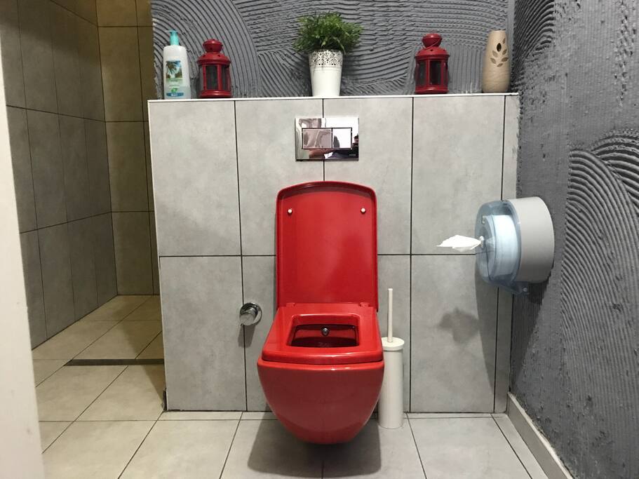 Bathroom, luxuriously decorated and equipped with large shower and hair dryer
