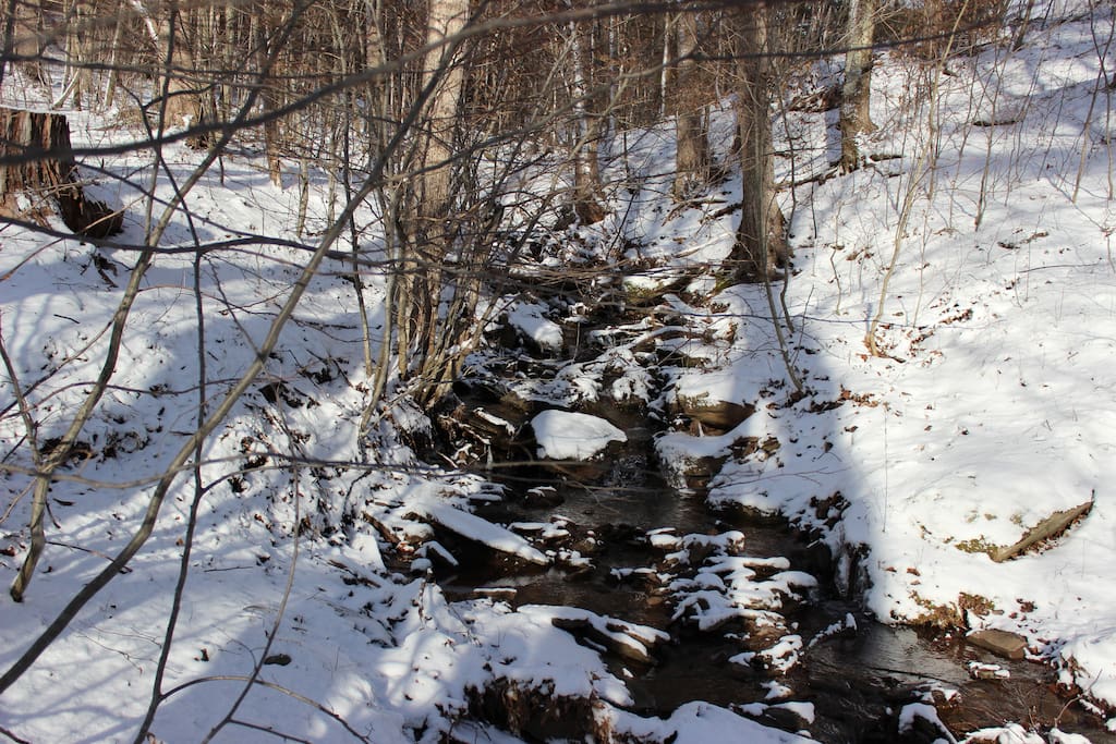 creek alongside property