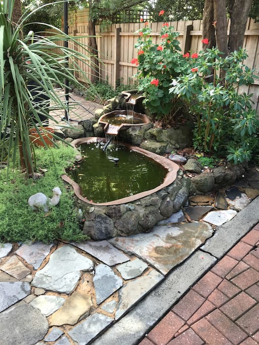 Beautiful yard